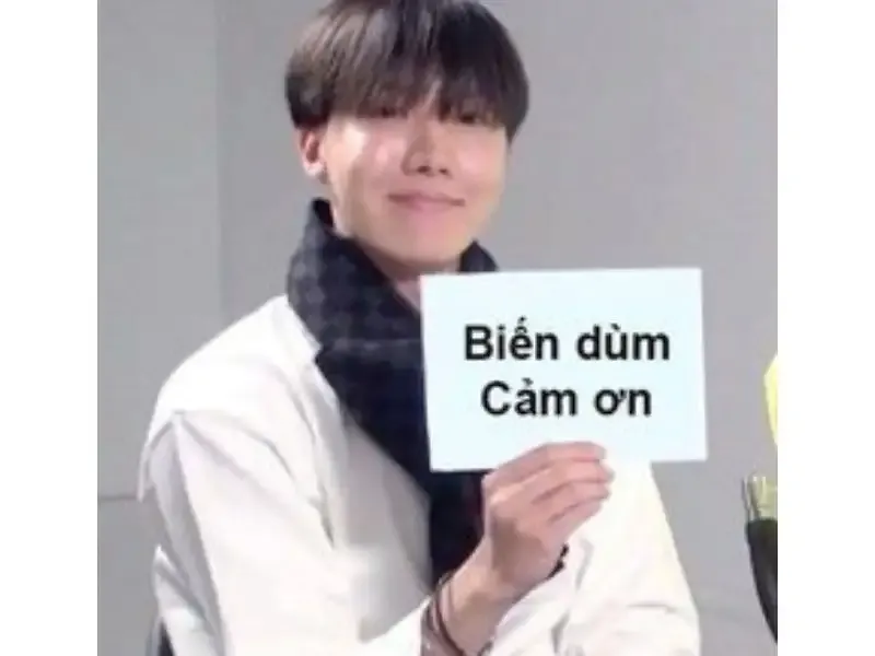 meme cảm ơn 15