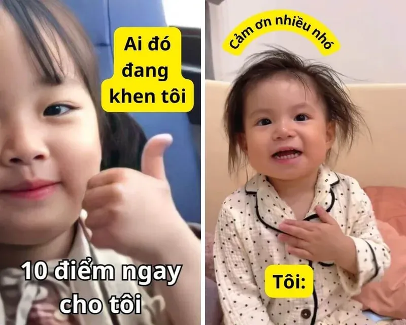 meme cảm ơn 26