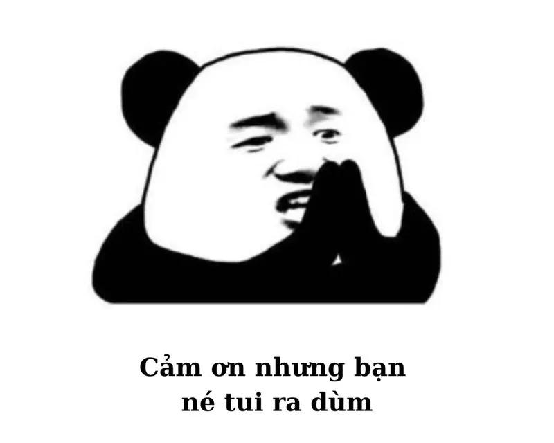 meme cảm ơn 27