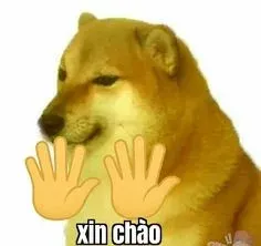 meme chào 4