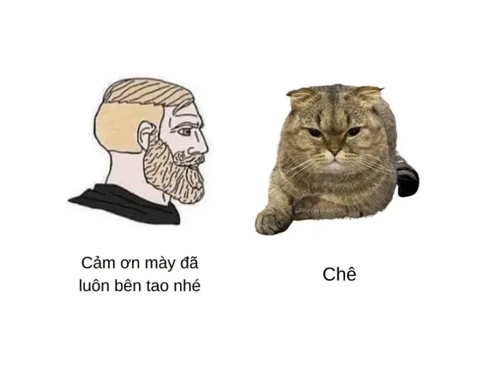 meme chê 44