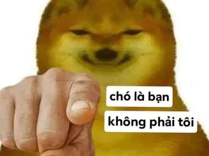 meme chỉ tay 22