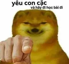 meme chửi 16