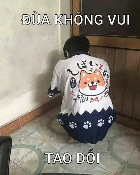 meme dỗi 9