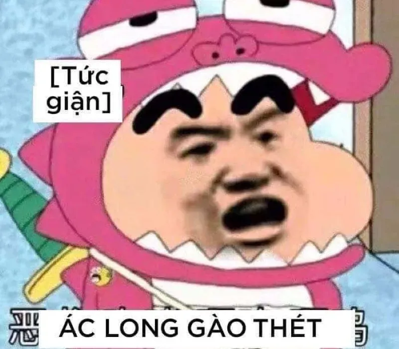 meme dỗi 14