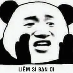 meme gấu trúc 2