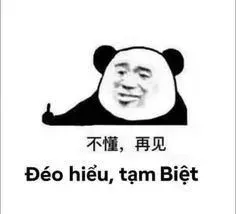 meme gấu trúc 7