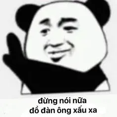 meme gấu trúc 28