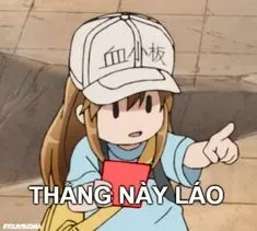 meme hài 30