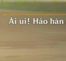 meme hảo hán 22