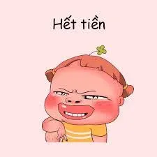 meme hết tiền 29