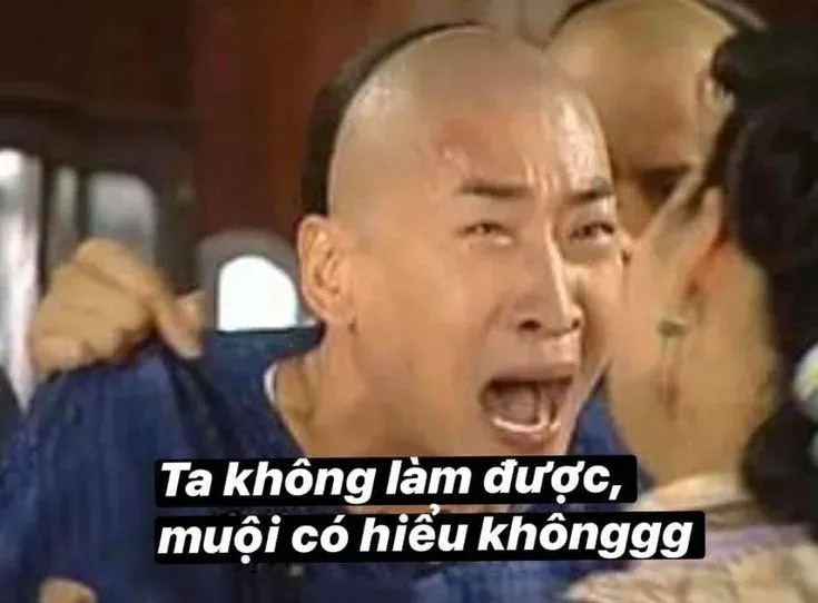 meme không 1