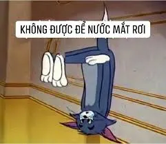 meme không 7