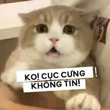 meme không 8