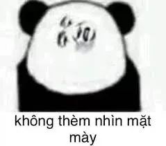 meme không 10