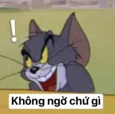 meme không 12