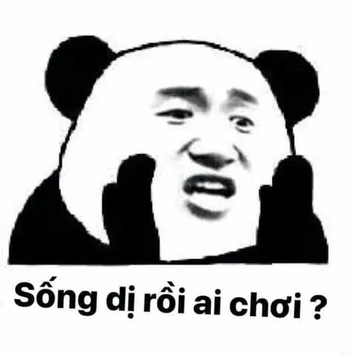 meme không 15