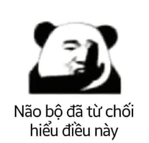 meme không 31