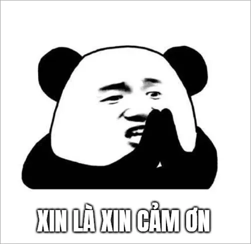 meme lạy 10