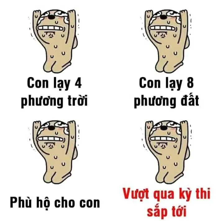 meme lạy 3