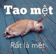 meme mệt mỏi 6