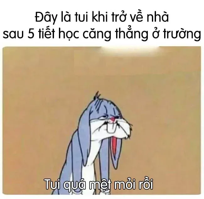 meme mệt mỏi 21