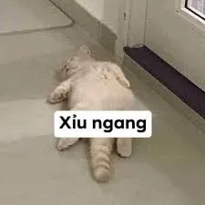 meme mệt mỏi 36