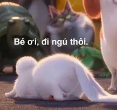 meme ngủ ngon 1