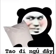 meme ngủ ngon 2