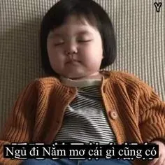 meme ngủ ngon 9