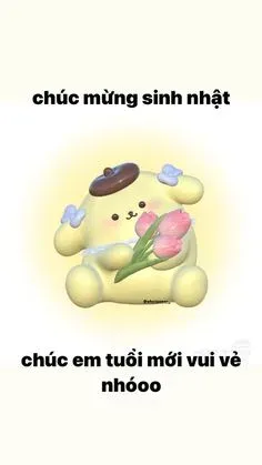 meme sinh nhật 14