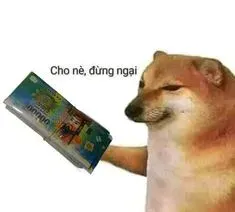 meme tiền 24