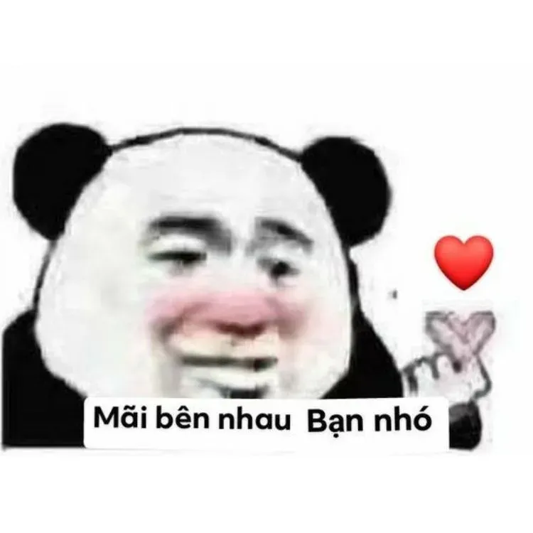 meme tình yêu 24