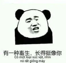 meme trung quốc 9