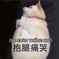 meme trung quốc 11