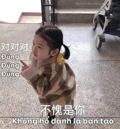 meme trung quốc 16