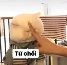 meme từ chối 5