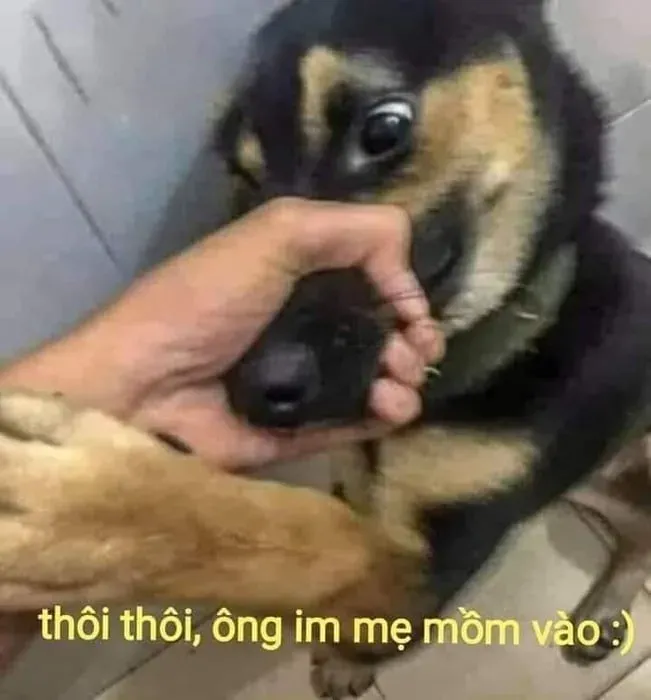 meme từ chối 11