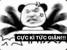 meme tức giận 1