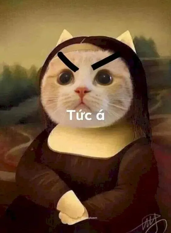 meme tức giận 6