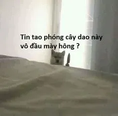 meme tức giận 7