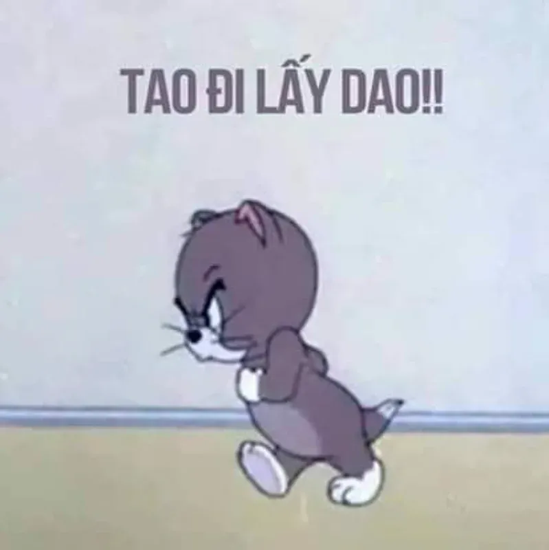 meme tức giận 31