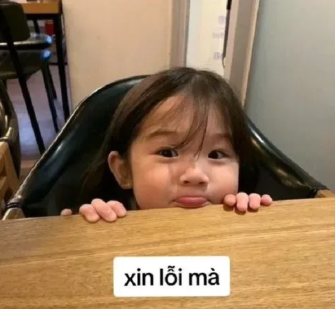 meme xin lỗi 12