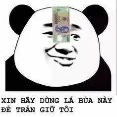 meme xin lỗi 17