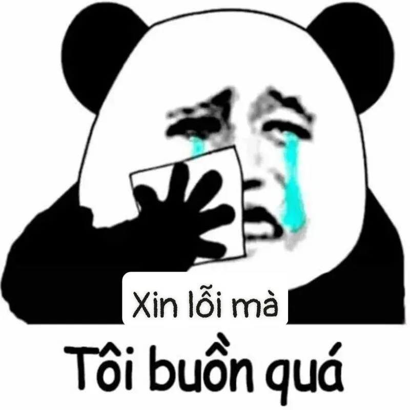 meme xin lỗi 31