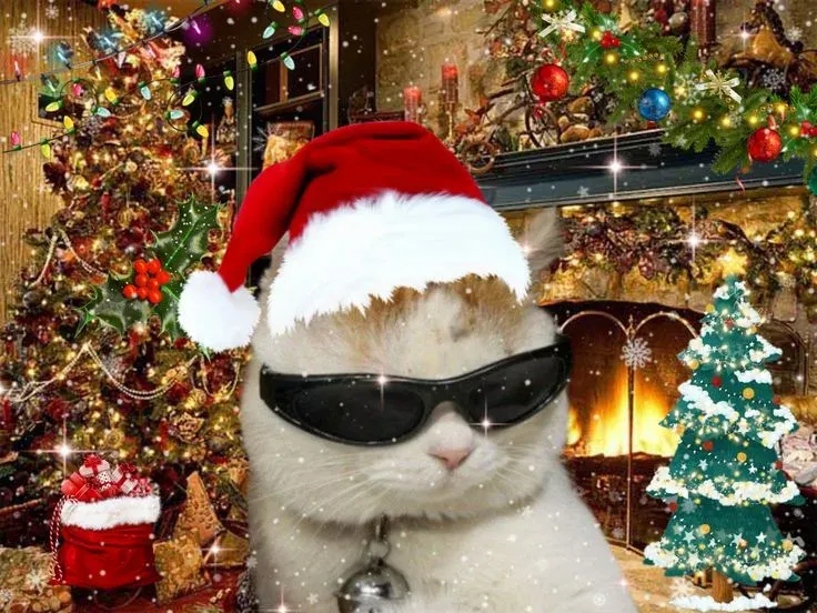 mèo noel meme 4