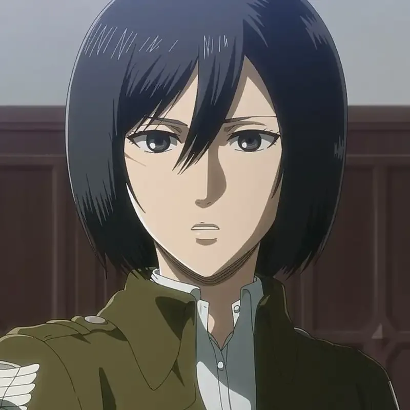 Mikasa Ackerman  5