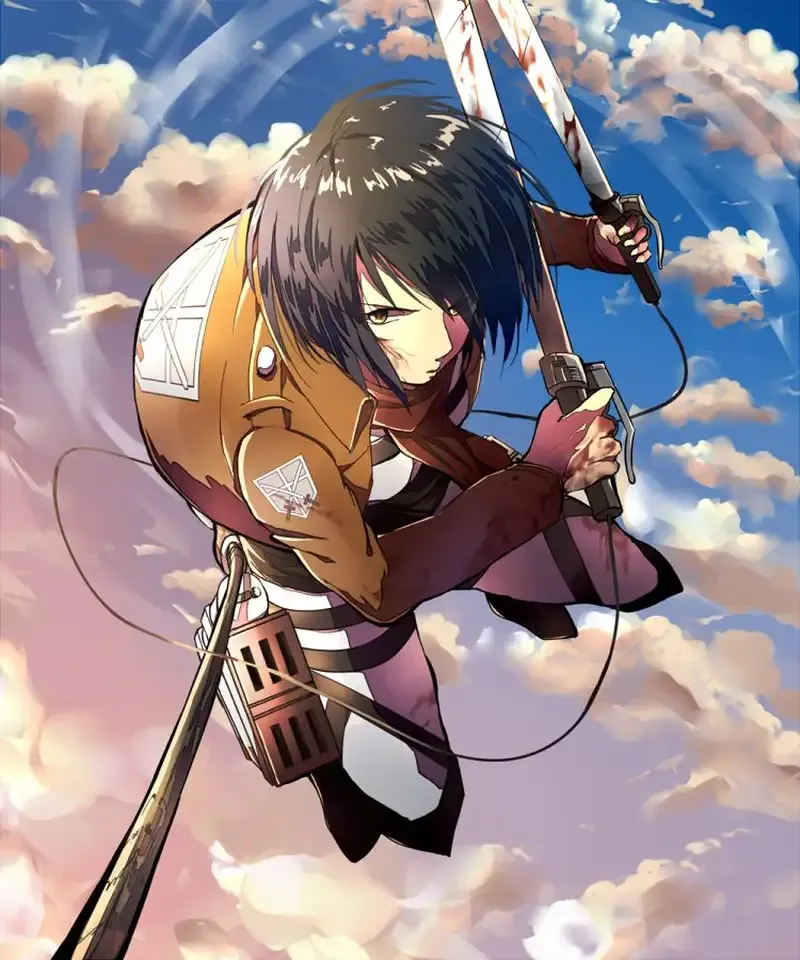 Mikasa Ackerman  14