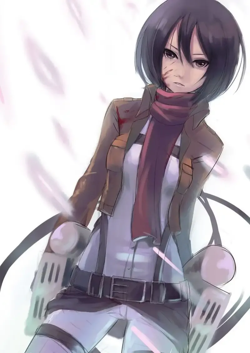 Mikasa Ackerman  17