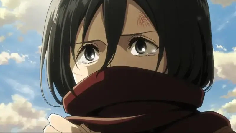 Mikasa Ackerman  19